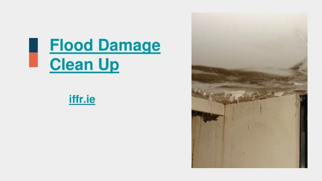 PPT - Flood Damage Clean Up PowerPoint Presentation, free download - ID ...