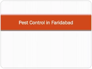 Pest Control Services In Faridabad - Pest Control In Faridabad