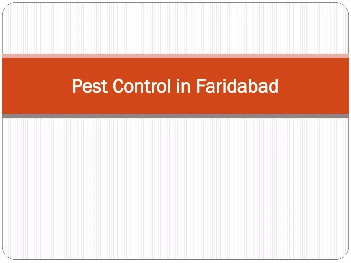 pest control in faridabad