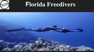 Florida Freedives