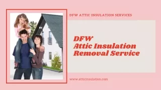 DFW Attic Insulation Removal Service