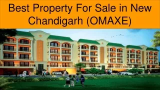 Best Property for Sale in New Chandigarh (OMAXE)