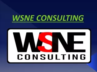 wsne consulting