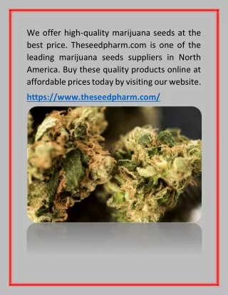 Buy Cannabis Seeds Online - Theseedpharm.com