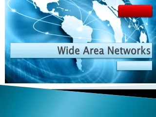Wide Area Network Overview