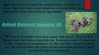 Animal Removal Alexander AR