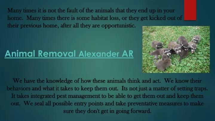 many times it is not the fault of the animals