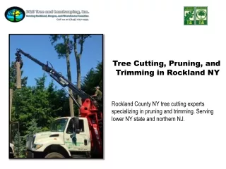Tree Cutting, Pruning, and Trimming in Rockland NY