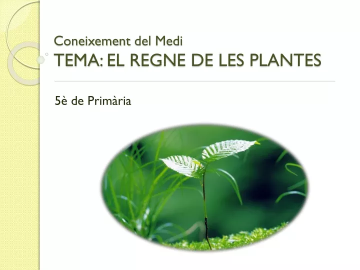 coneixement del medi tema el regne de les plantes