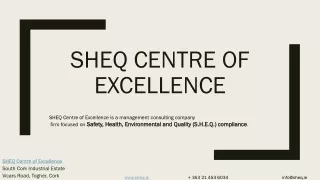 Health and safety statement - sheq centre of excellence