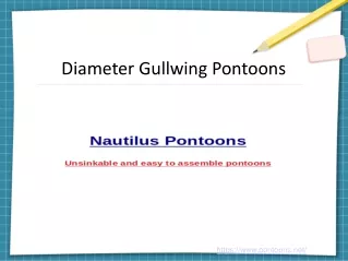 Diameter Gullwing Pontoons