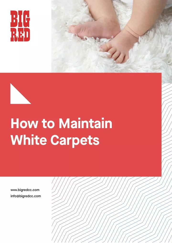 how to maintain white carpets