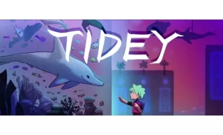 Tidey