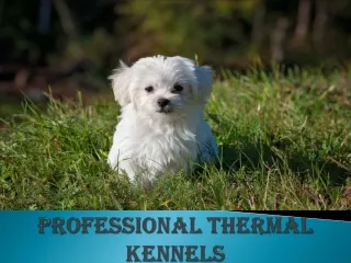 Professional thermal kennels