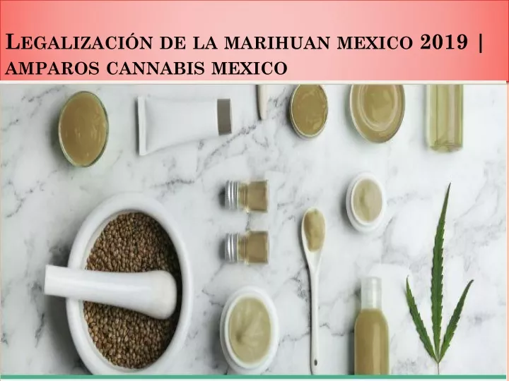 legalizaci n de la marihuan mexico 2019 amparos cannabis mexico