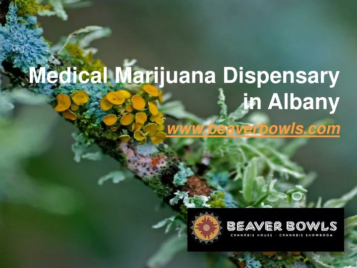 medical marijuana dispensary in albany
