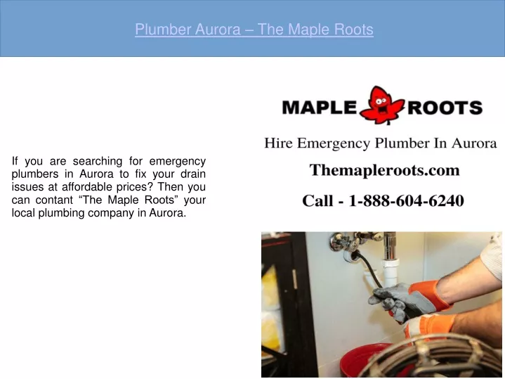 plumber aurora the maple roots