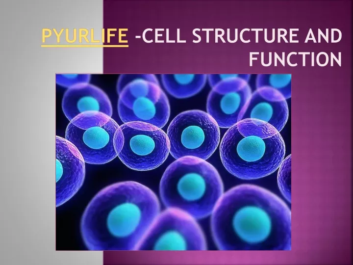 pyurlife cell structure and function
