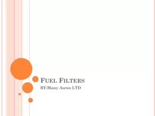 Fuel Filter-Many Autos