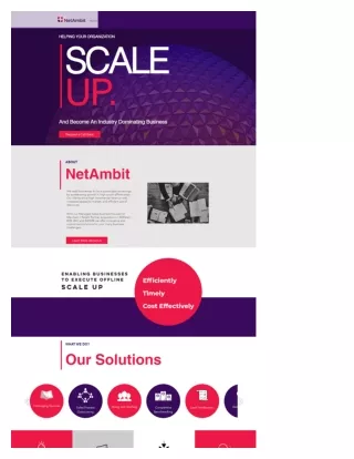 Managed Sales | NetAmbit | Noida