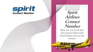Find the Best Deals on Spirit Airlines Contact Number