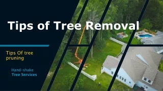Tips of tree removal