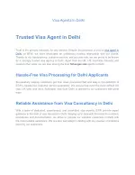 Visa Agents In Delhi - slide 1