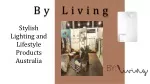 Enhanced Convenience with Decorative Wall Hooks in Australia - slide 1