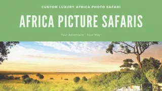 Luxury African Safari and Tours | Africa Picture Safaris