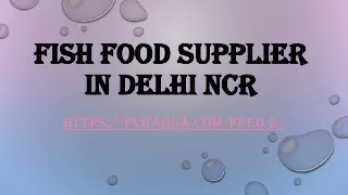 Fish food supplier in Delhi NCR