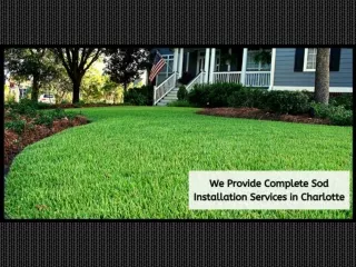 We Provide Complete Sod Installation Services in Charlotte