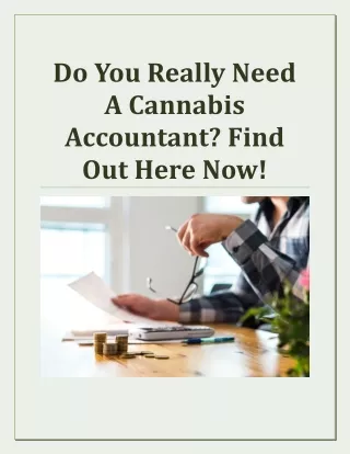 Do You Really Need A Cannabis Accountant? Find Out Here Now!