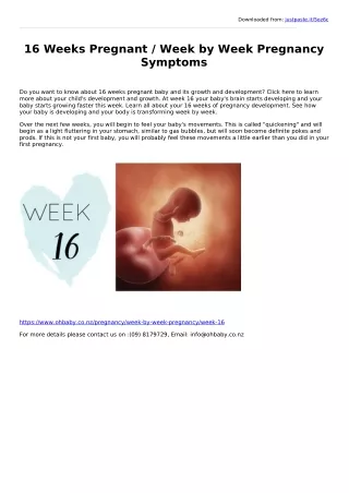 16 Weeks Pregnancy