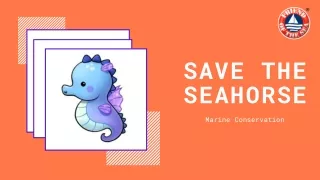 Protect the Seahorse-Marine Conservation
