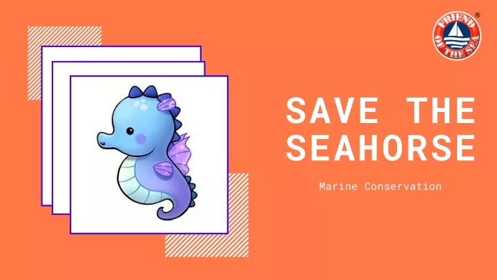 save the seahorse