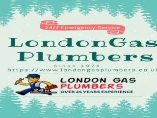 Emergency Plumbers in London with work guarantee