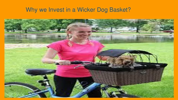 why we invest in a wicker dog basket