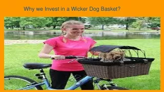 Benefits of Investing in a Dog Wicker Bike Basket