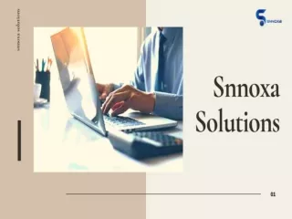 Snnoxa Solutions:Team of SEO Experts