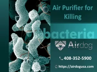 Air Purifier for Killing Bacteria with new TPA Technology | Airdog USA