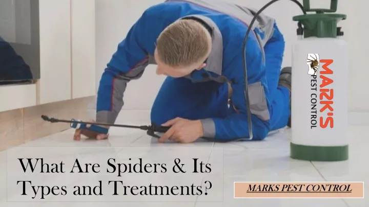 what are spiders its types and treatments