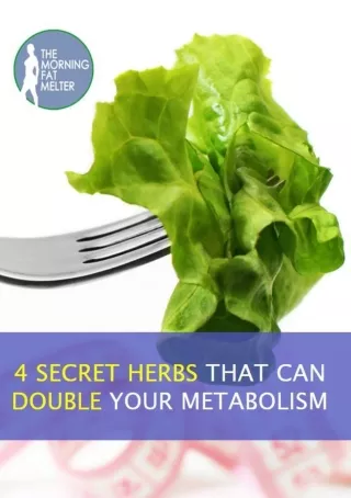 Morning Fat Melter 4 Herbs Program Download