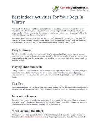 Best Indoor Activities For Your Dogs In Winter- CanadaVetExpress