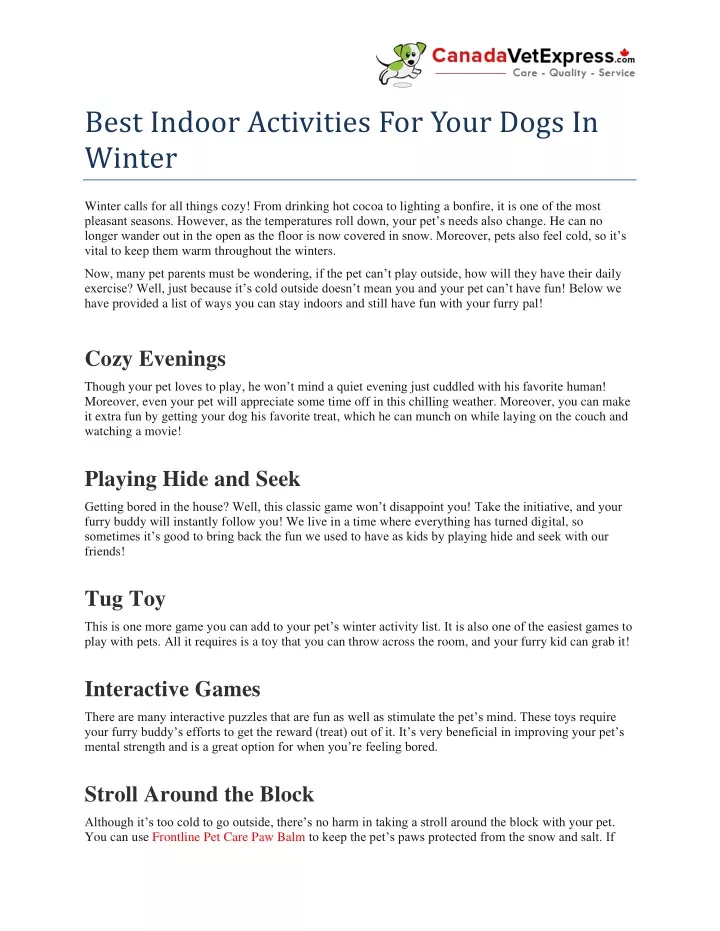 best indoor activities for your dogs in winter
