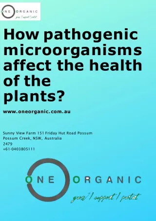 How pathogenic microorganisms affect the health of the plants?