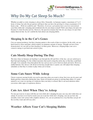 Why Do My Cat Sleep So Much- CanadaVetExpress