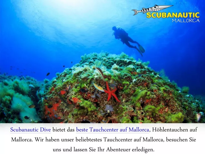 scubanautic dive bietet das beste tauchcenter