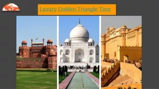 Adventure Trip with Golden Triangle Tour