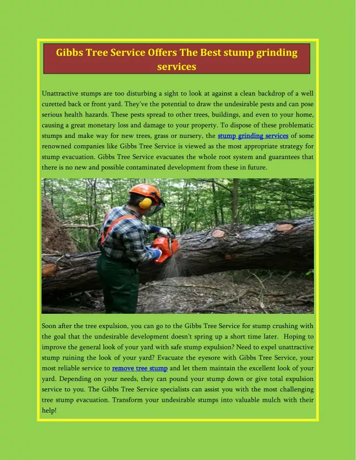 gibbs tree service offers the best stump grinding