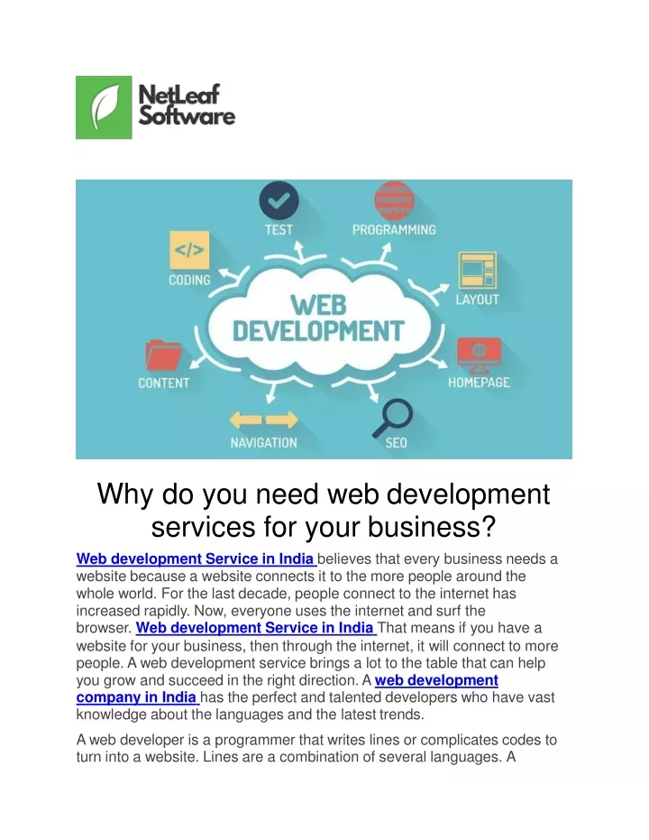 why do you need web development services for your